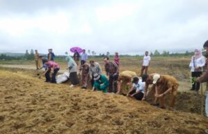 Infrastruktur Food Estate Untuk Dukung Humbahas Lumbung Pangan Nasional