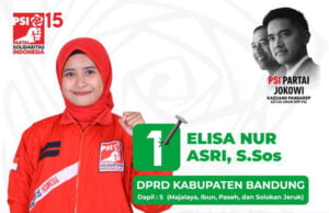 Elisa Nurasri Caleg PSI DPRD Kabupaten Bandung, Berpegang Prinsip dan Komitmen
