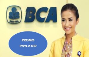 Ayo Manfaatkan, Paylater Bank BCA Beri Promo Besar-besaran Tahun 2024